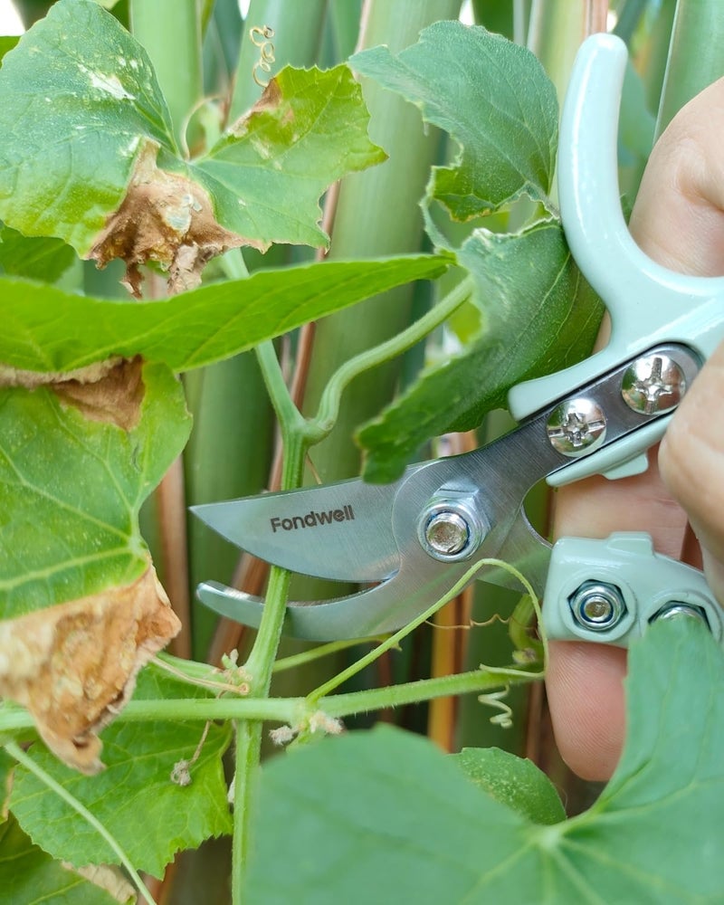 Fondwell 6" Gardening Shears Hand Pruners: Lightweight Garden Trimmers with Bypass Blades - Reliable Bonsai Cutters for Small Plants - Image 5